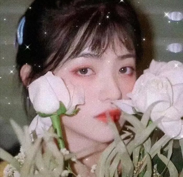 达克布拉德
